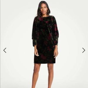 Ann Taylor cuffed floral velvet shift dress